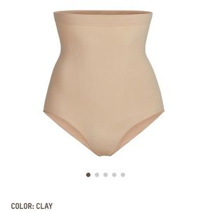 Sculpting High Waist Brief -Clay